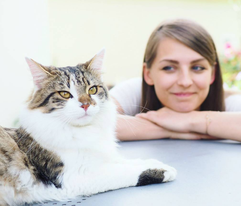 Eine Katze aus dem Tierheim – Infos & Tipps.