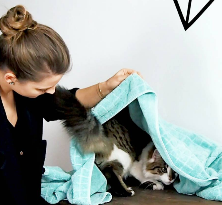 „Ab unter die Decke!“ Lottes heiß geliebter Katzentrick.